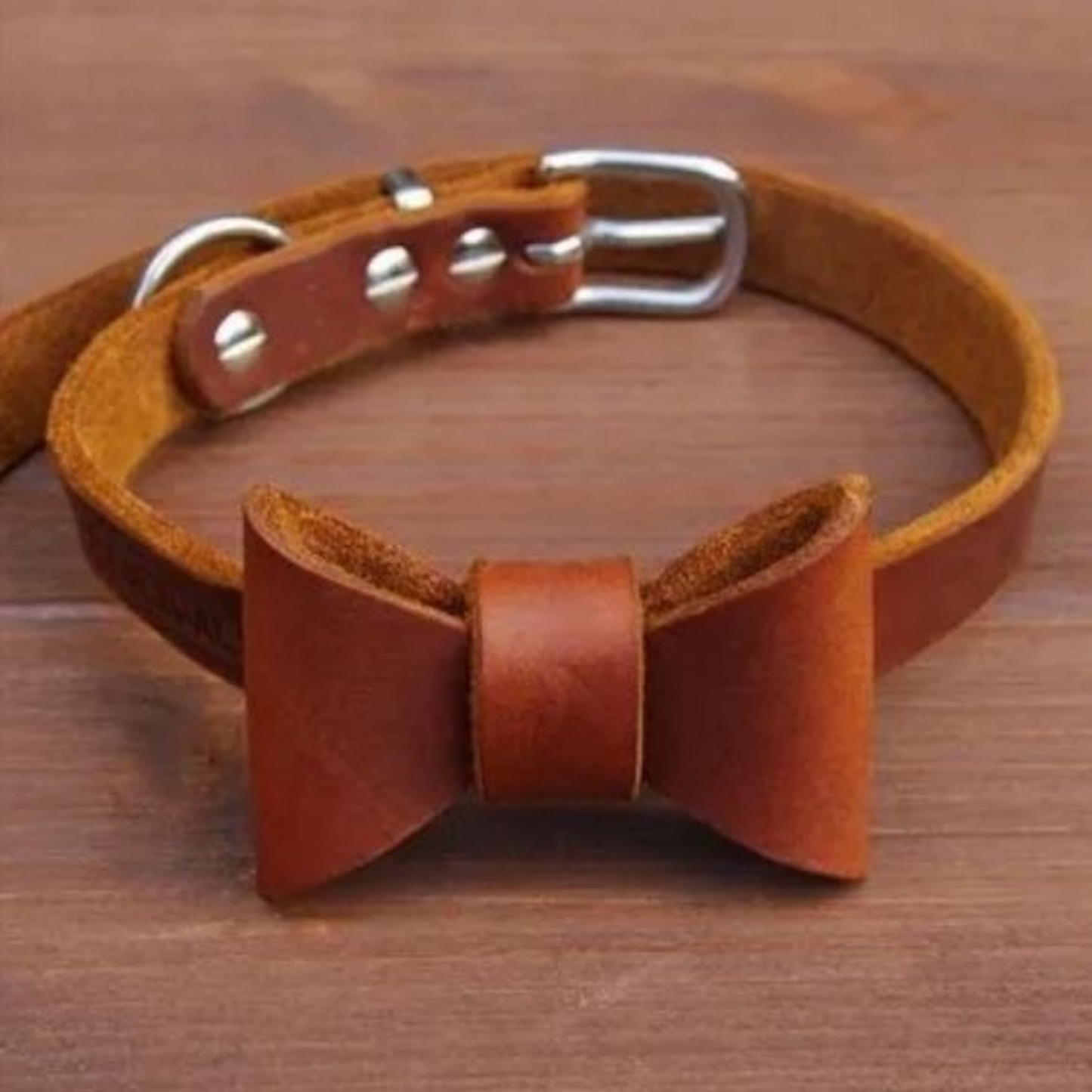 Dog Collars
