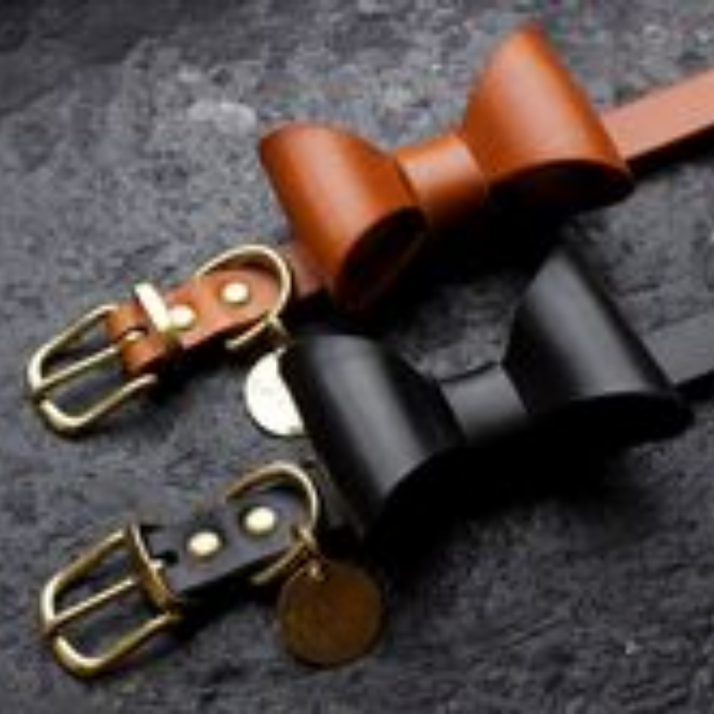 Dog Collars