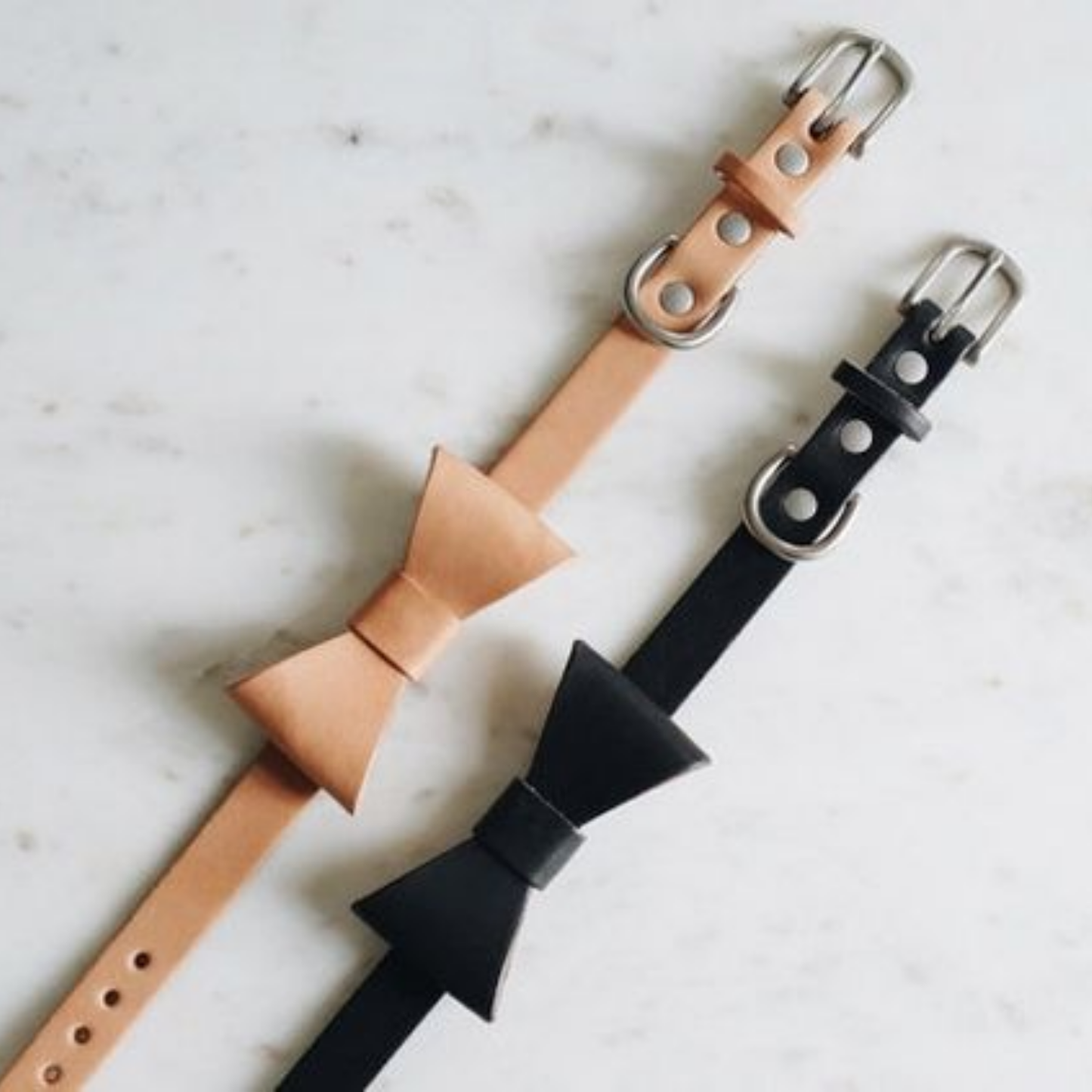 Dog Collars