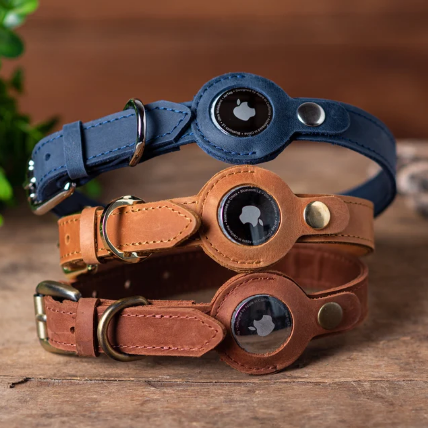 Dog Collars
