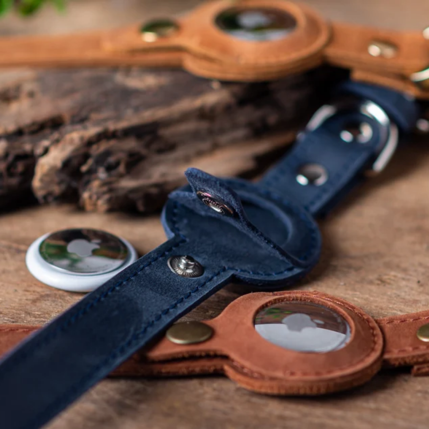 Dog Collars
