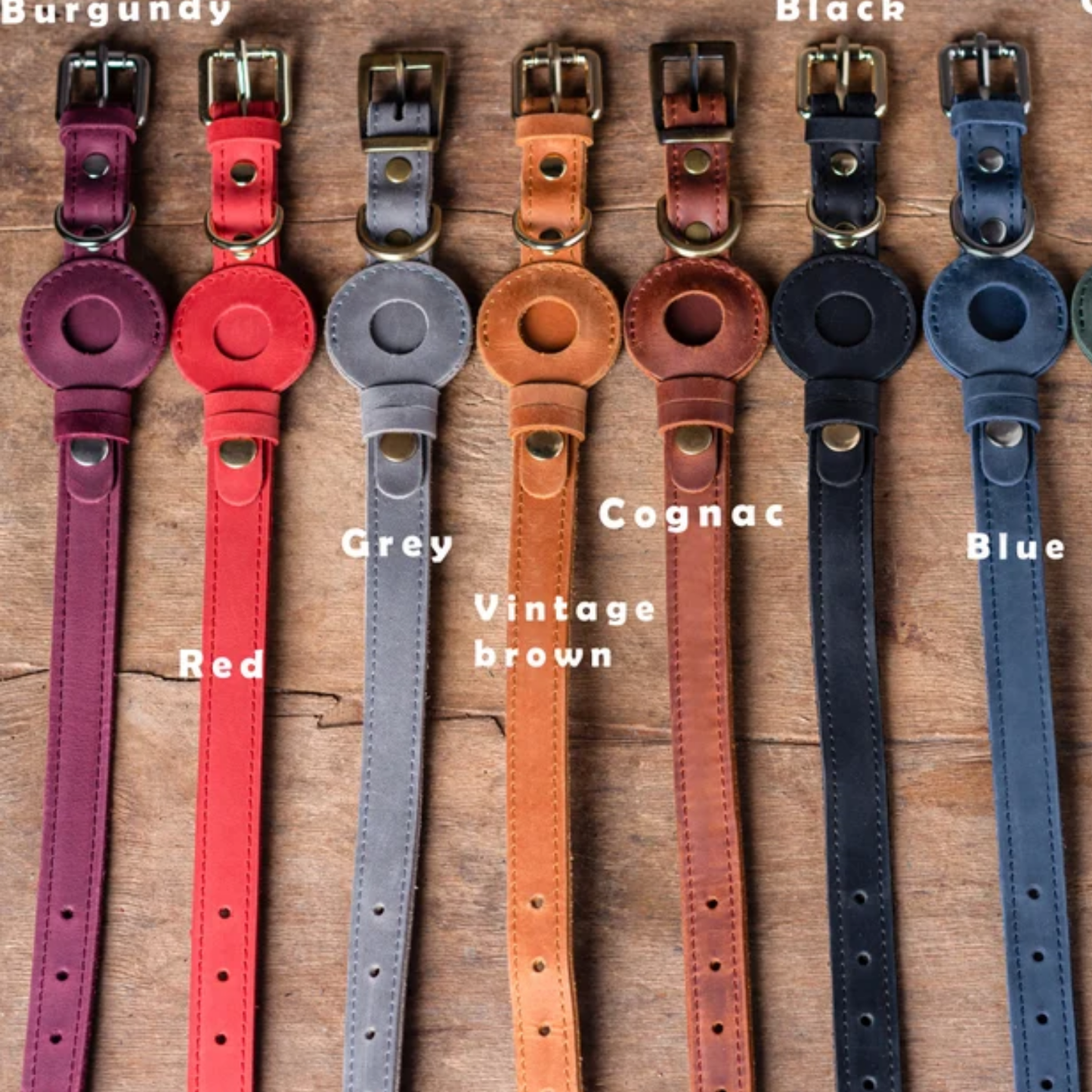 Dog Collars