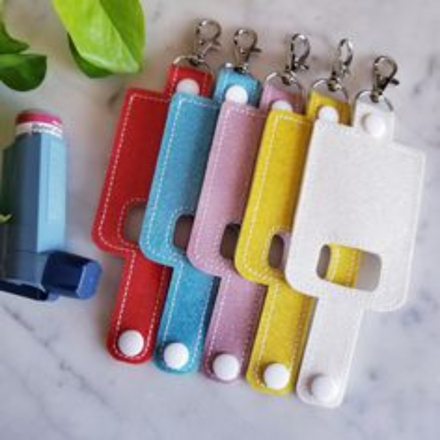 Inhaler Case