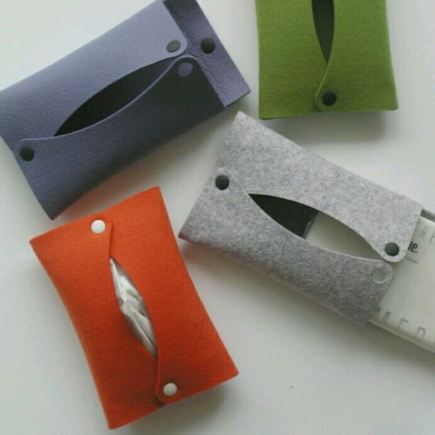 Tissue Holder