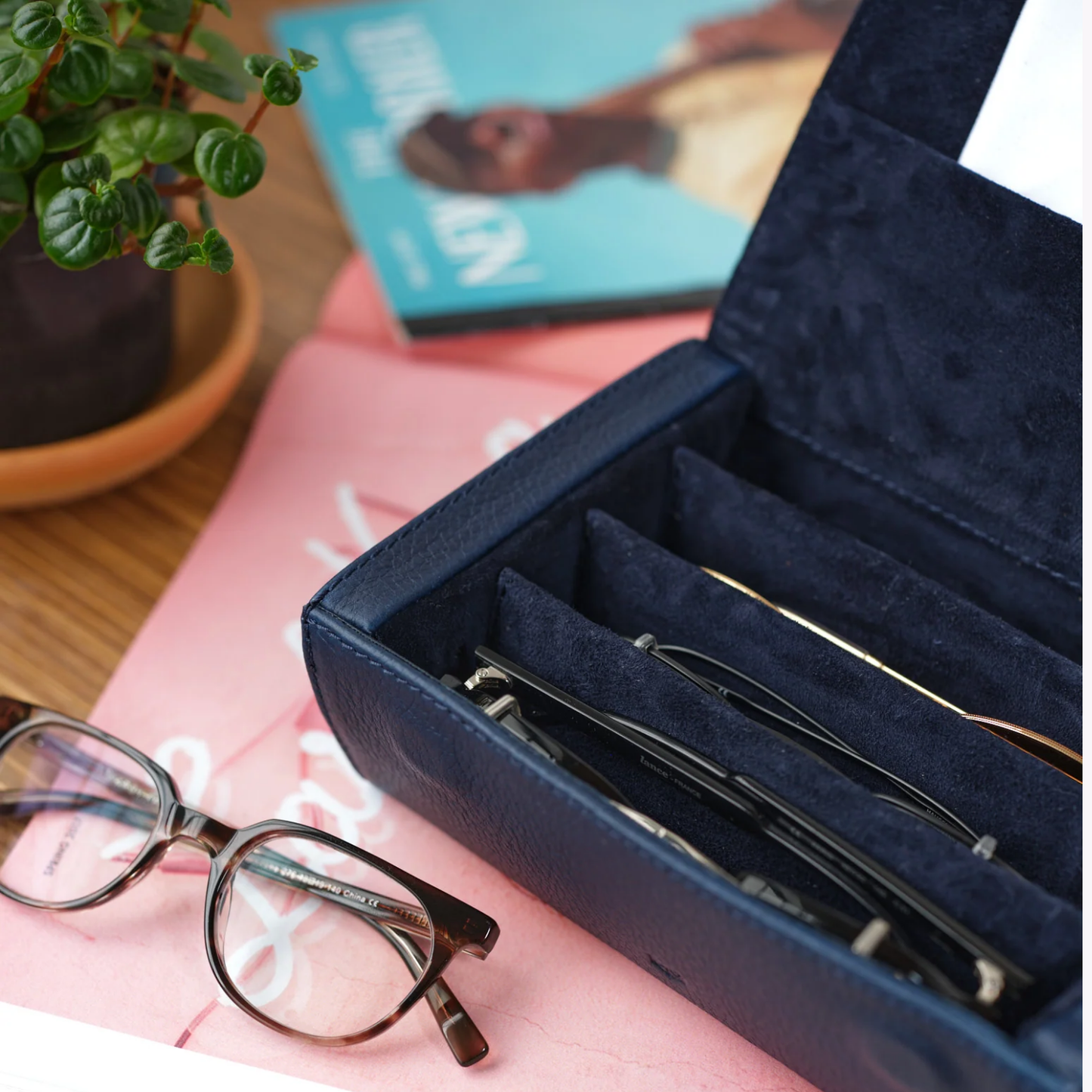 Multiple Sunglasses Travel Case