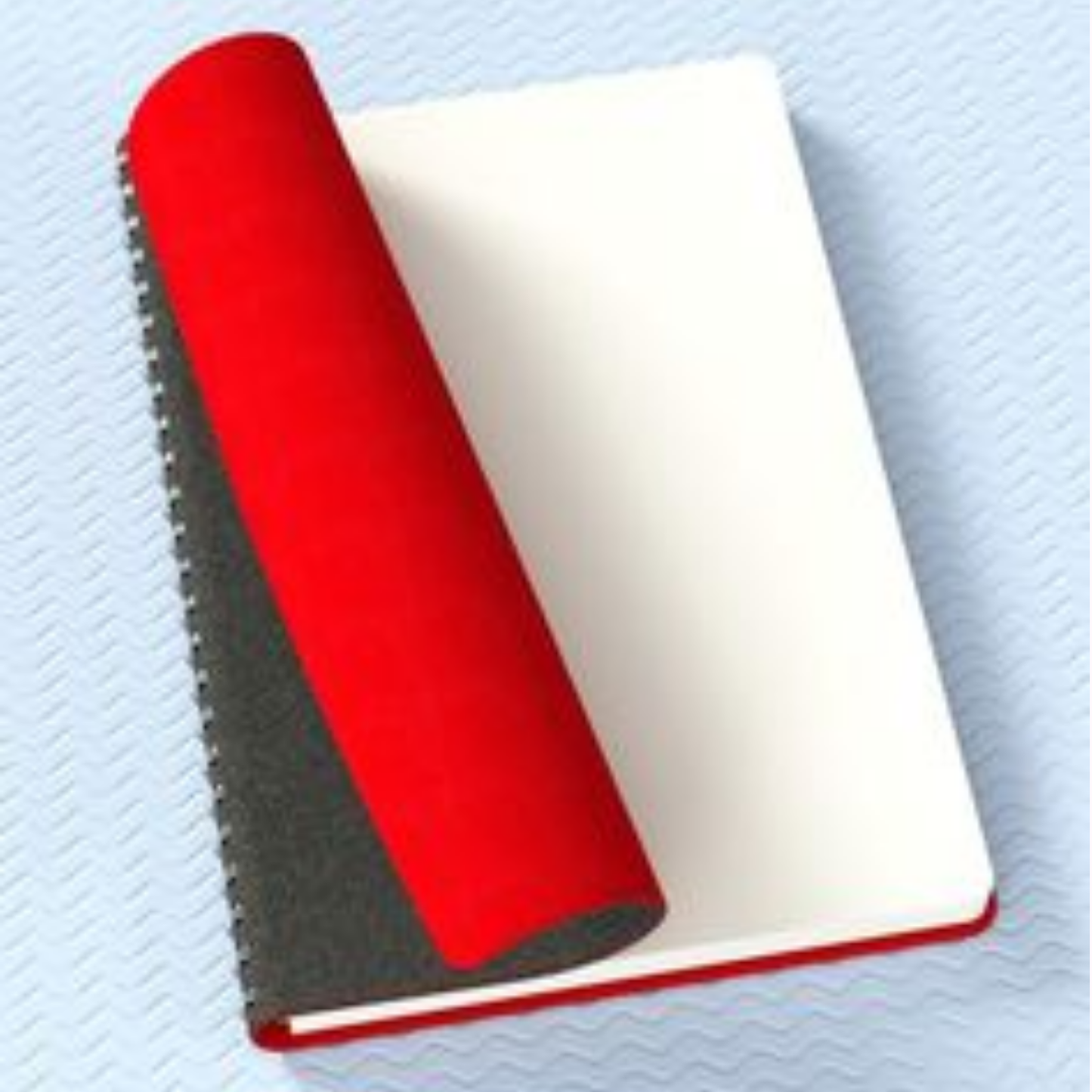 Diary Cover