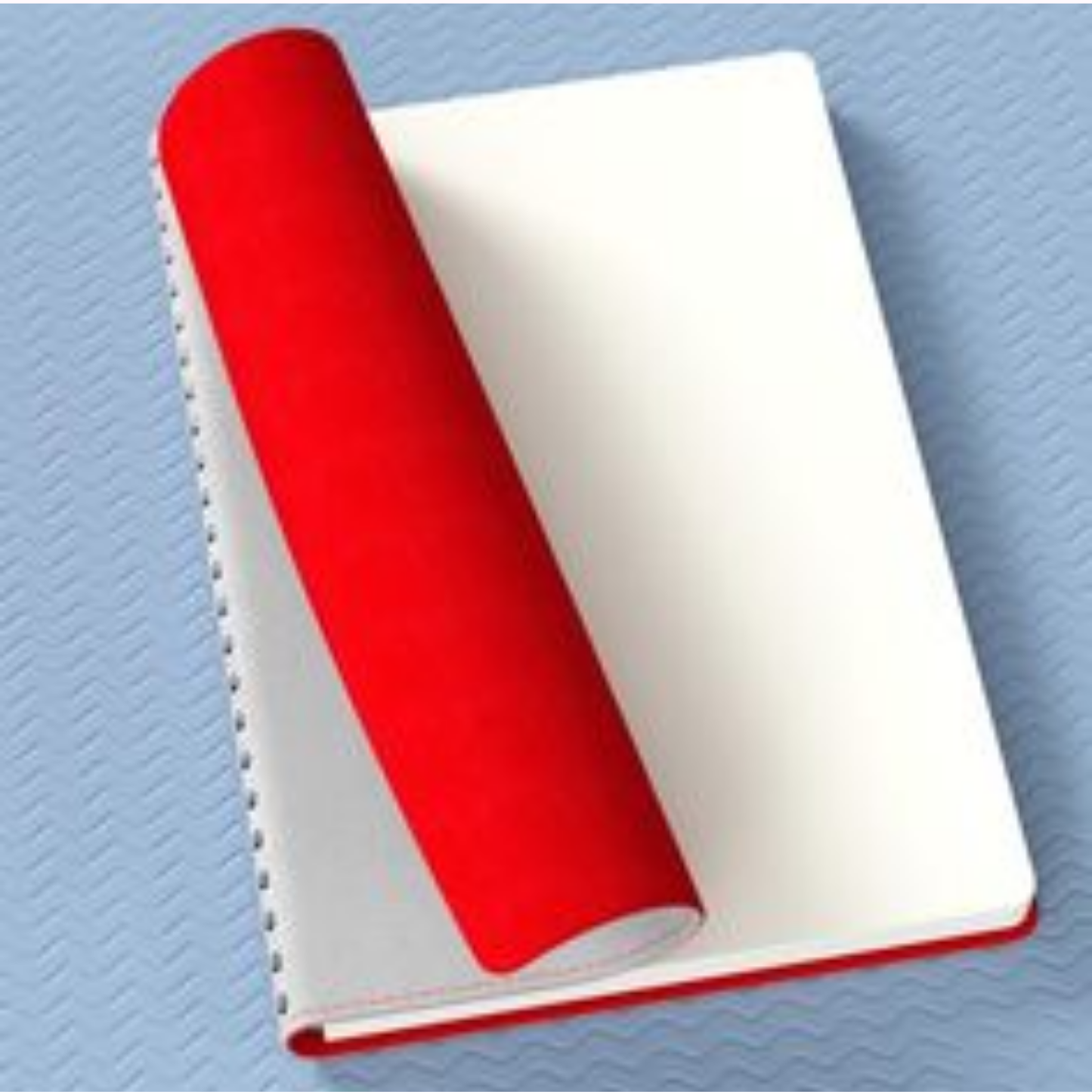 Diary Cover