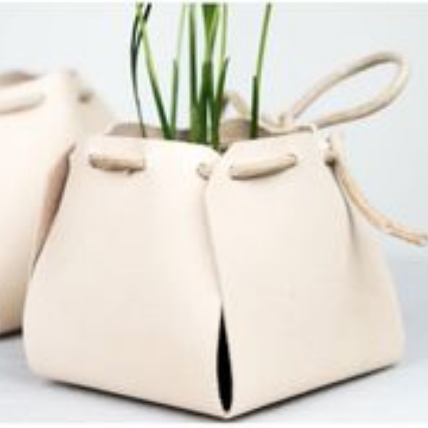 Plant Holder