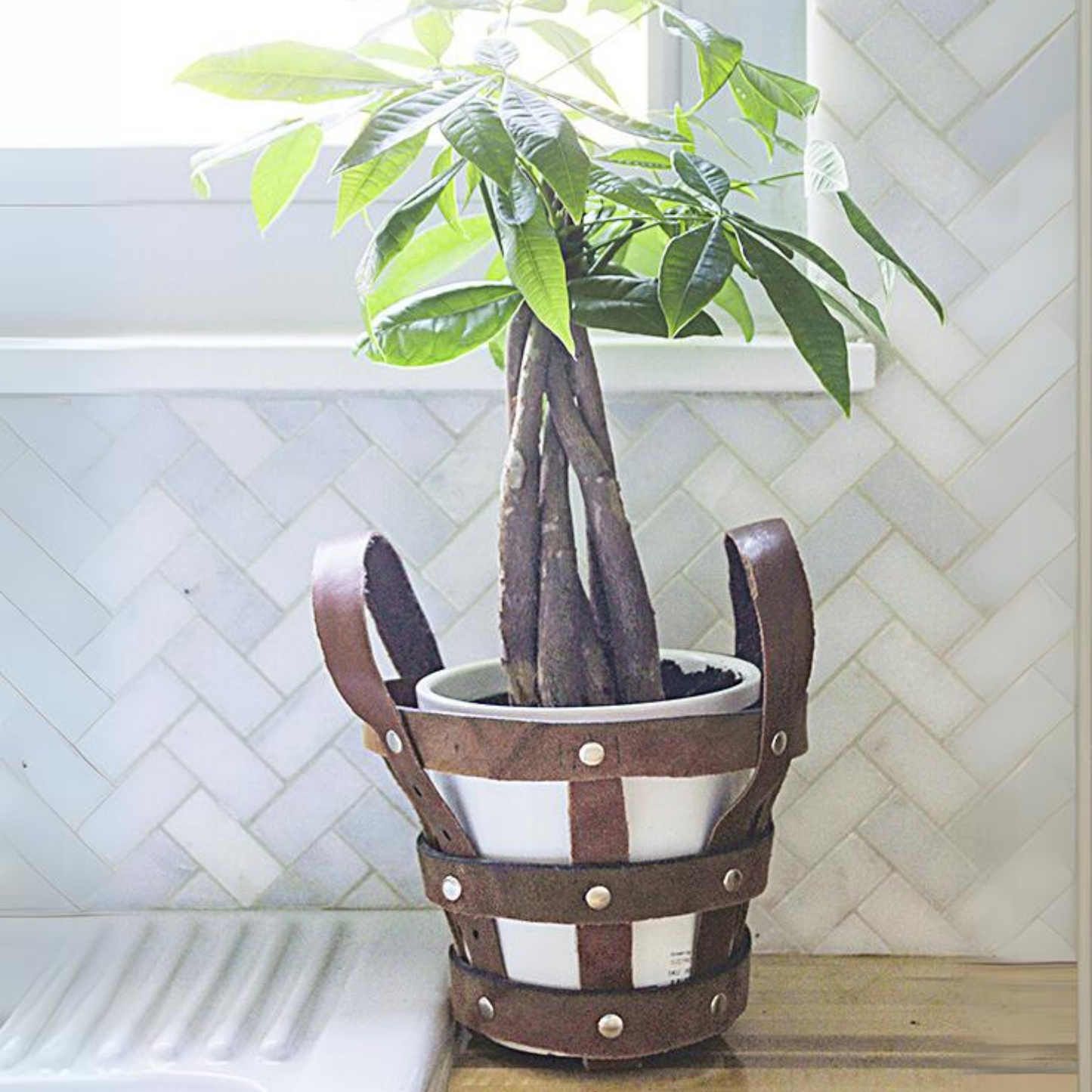 Leather Belt Planter Holder