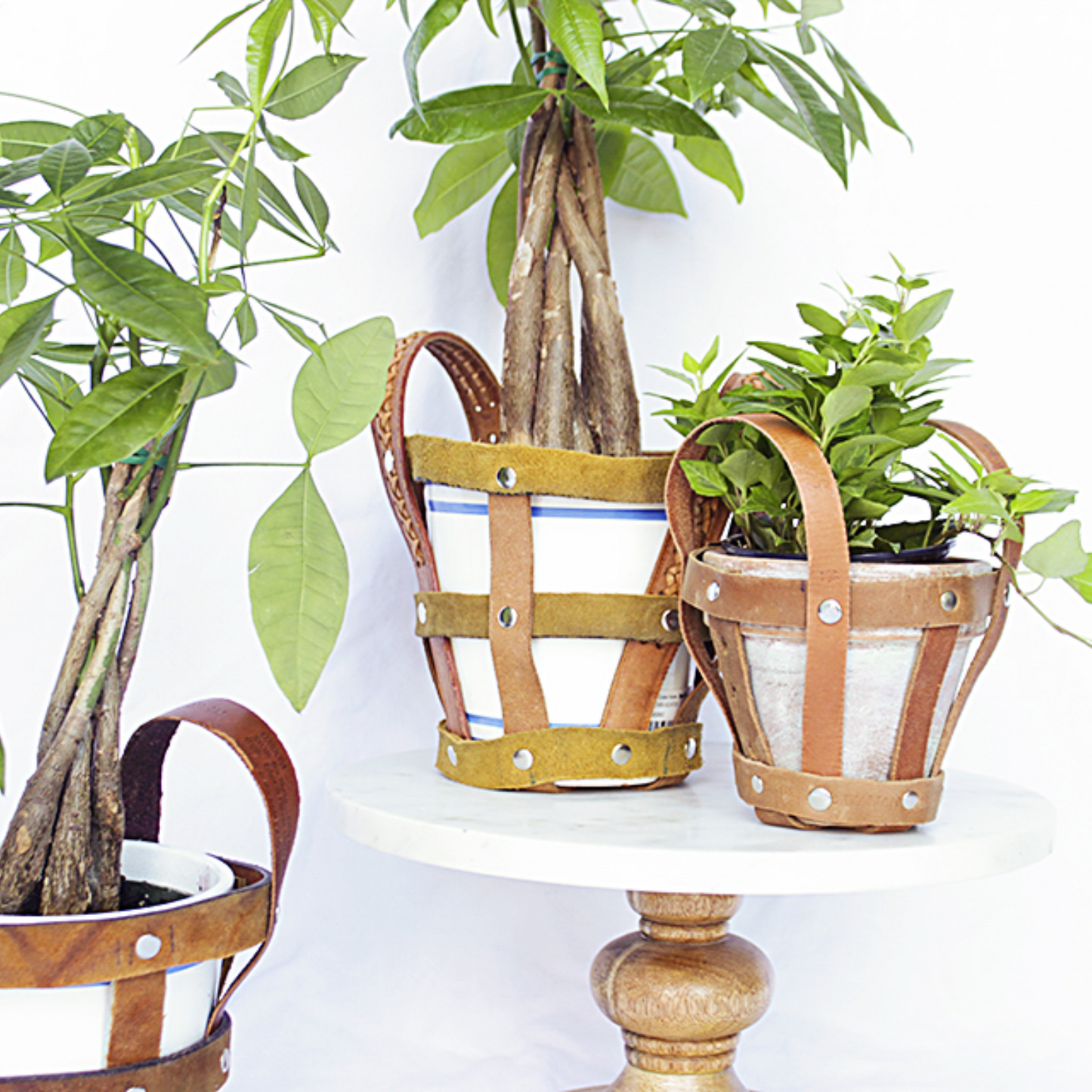Leather Belt Planter Holder