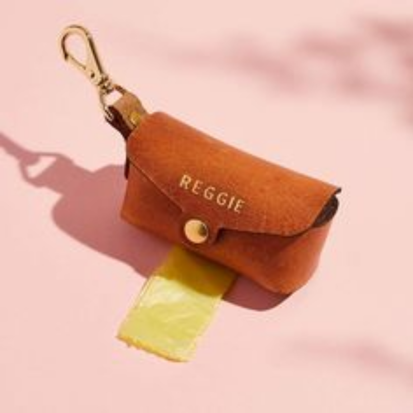 Leather Dog Poop Bag Holder