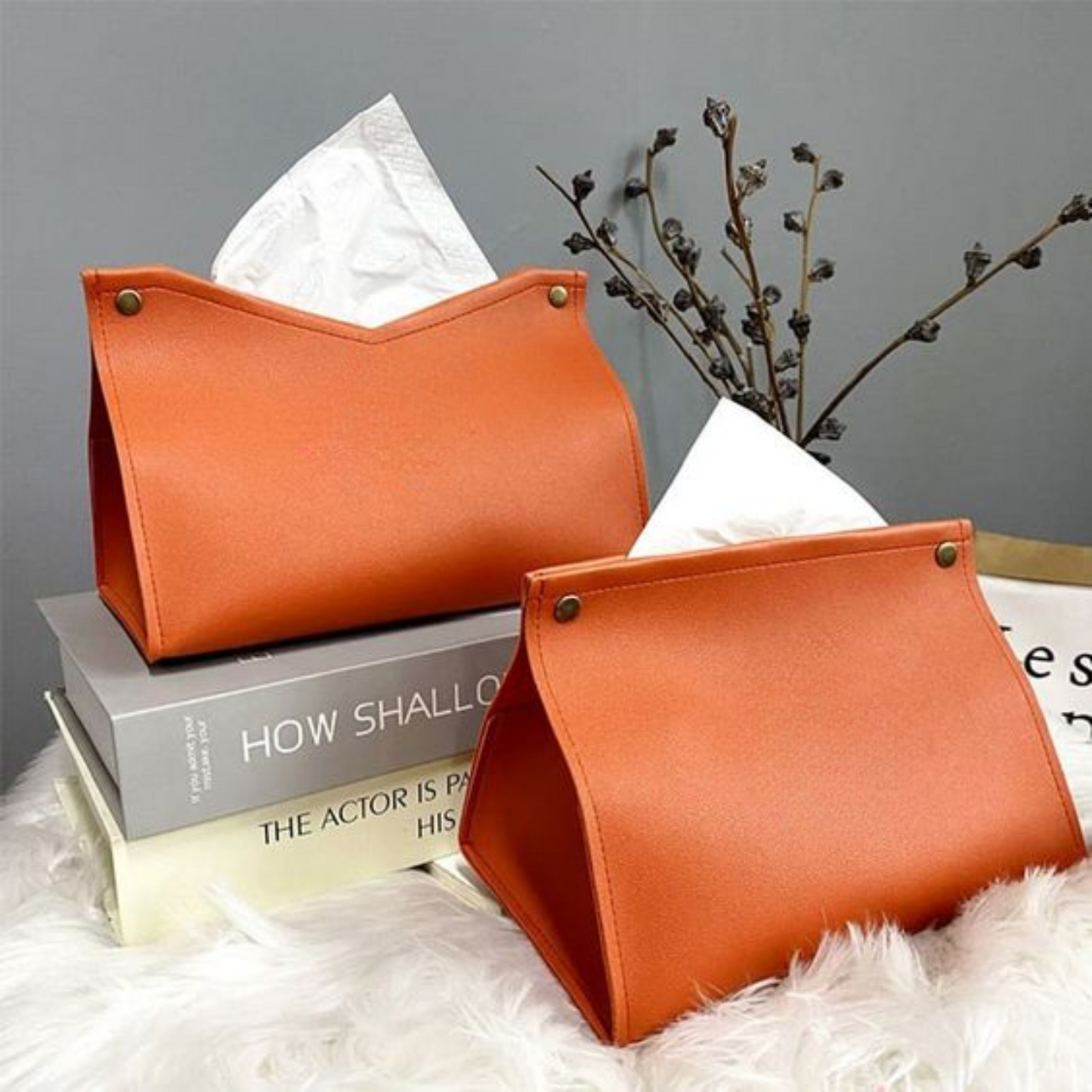 Tissue Holder