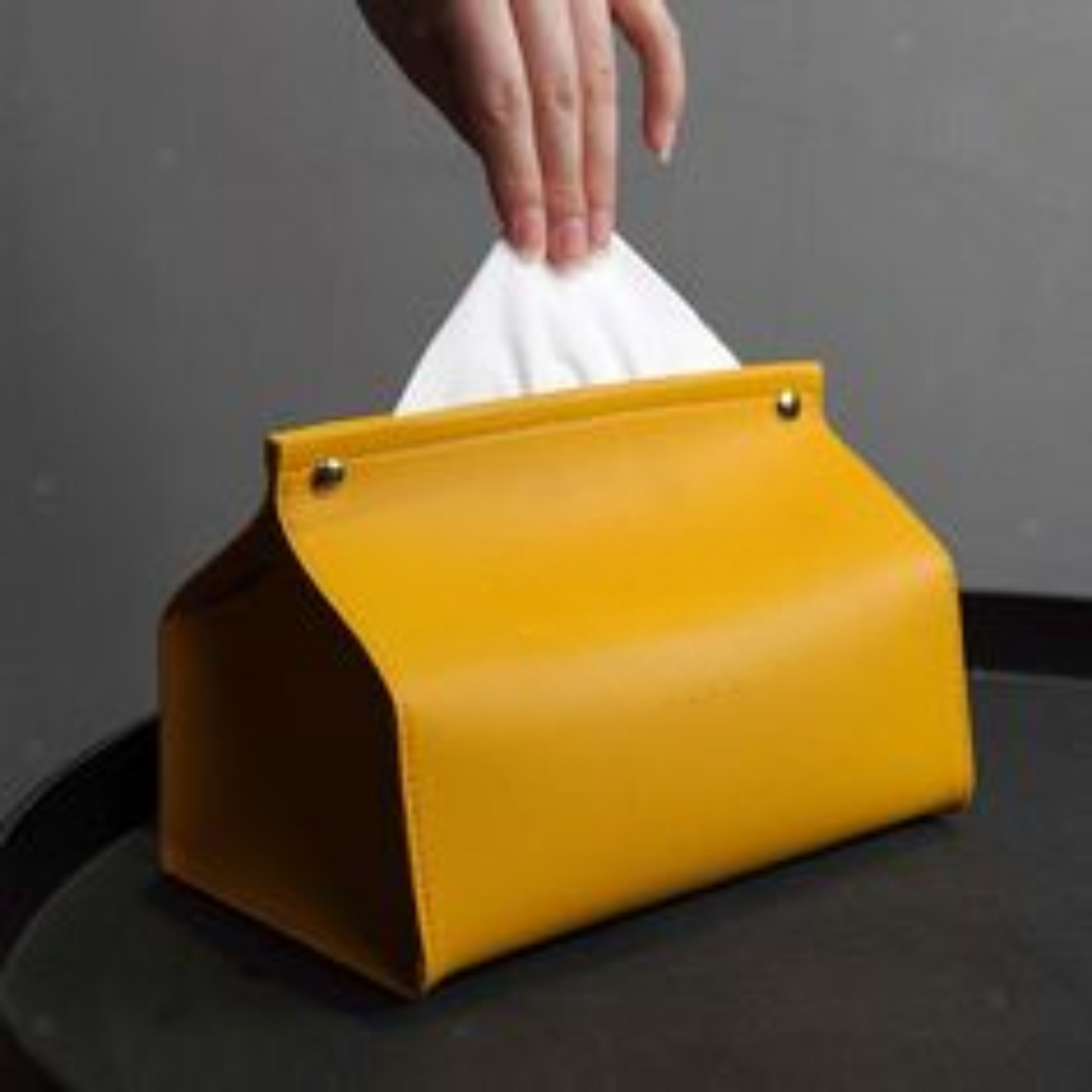 Tissue Holder