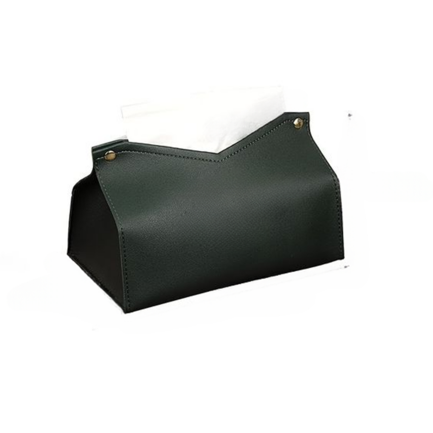 Tissue Holder