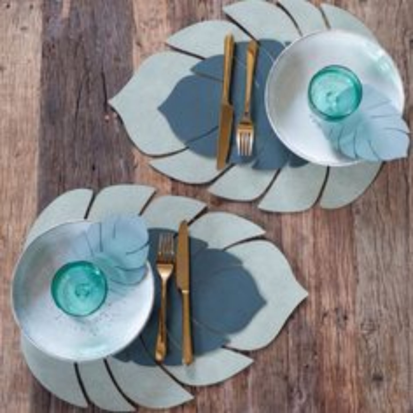 Monstera Leaf placemat
