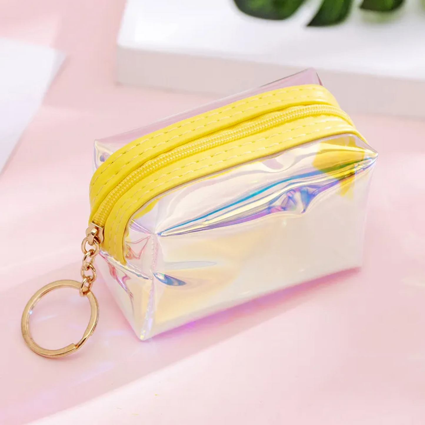 Portable Translucent Money Storage Bags