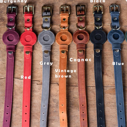 Dog Collars