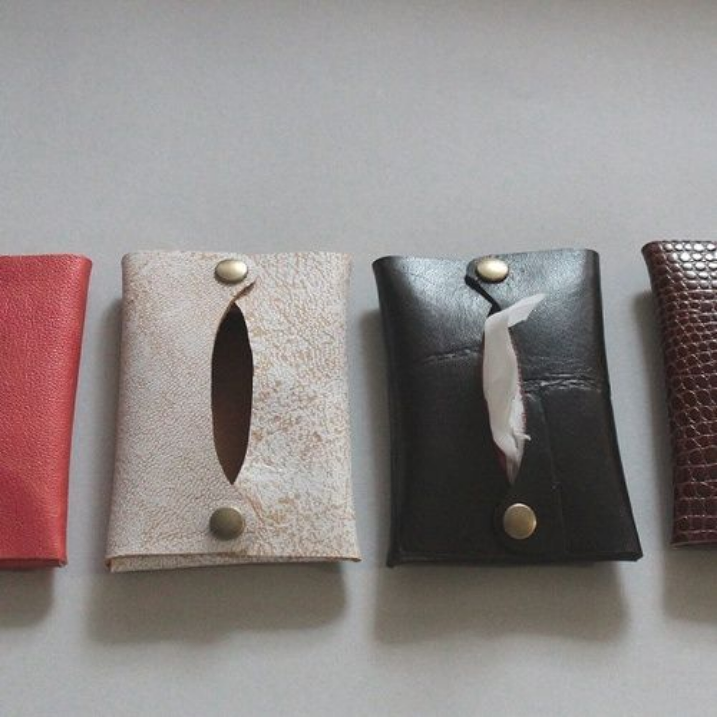 Tissue Holder