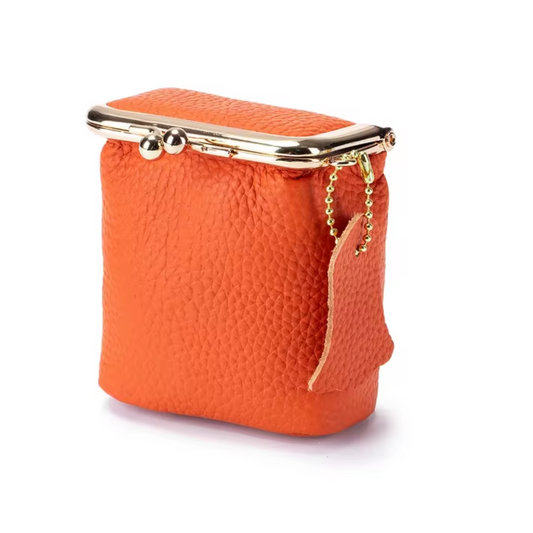 Mini Kiss Lock Cosmetic Purse