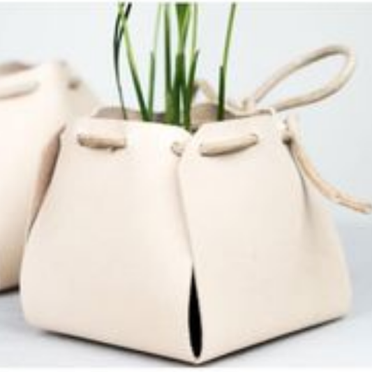Plant Holder