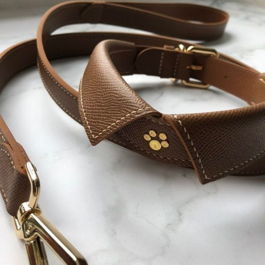 Dog Collars