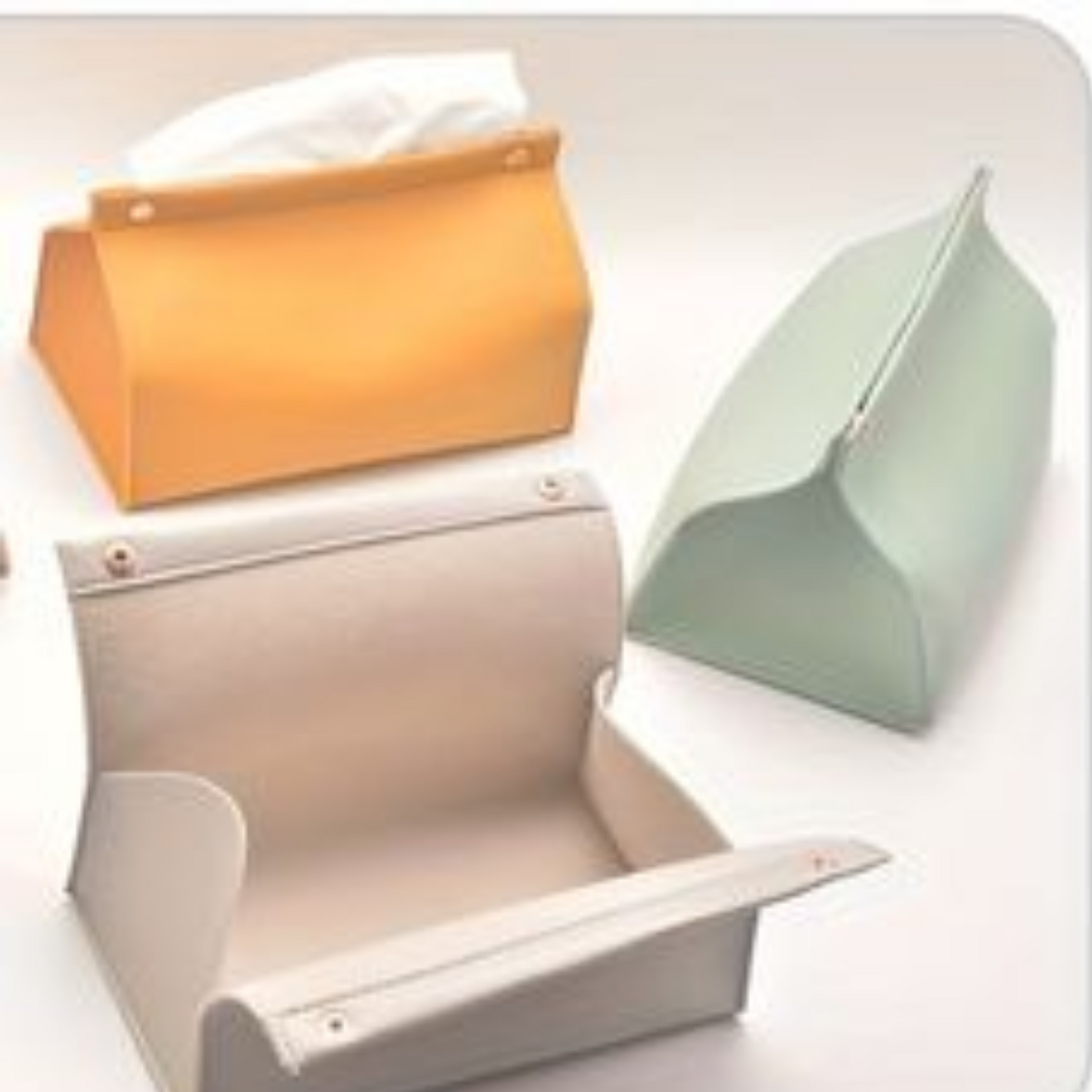 Tissue Holder